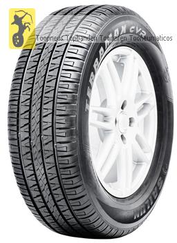 Terramax CVR