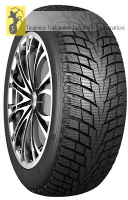 ICE ACTIVA 1